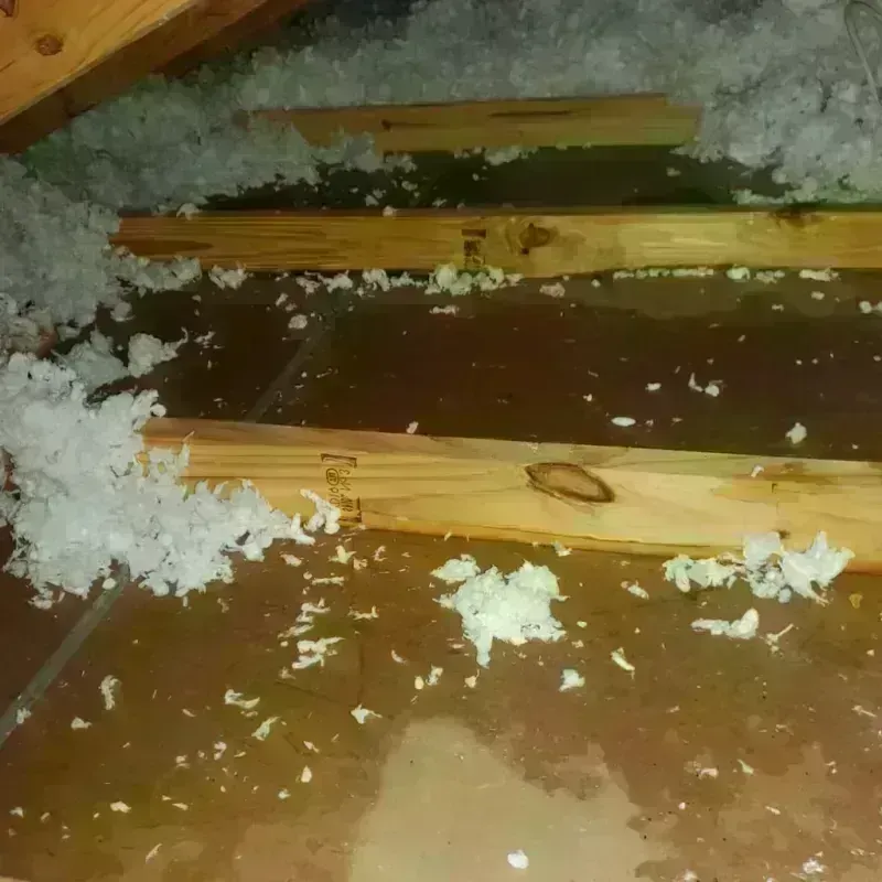 Attic Water Damage in Pine, AZ