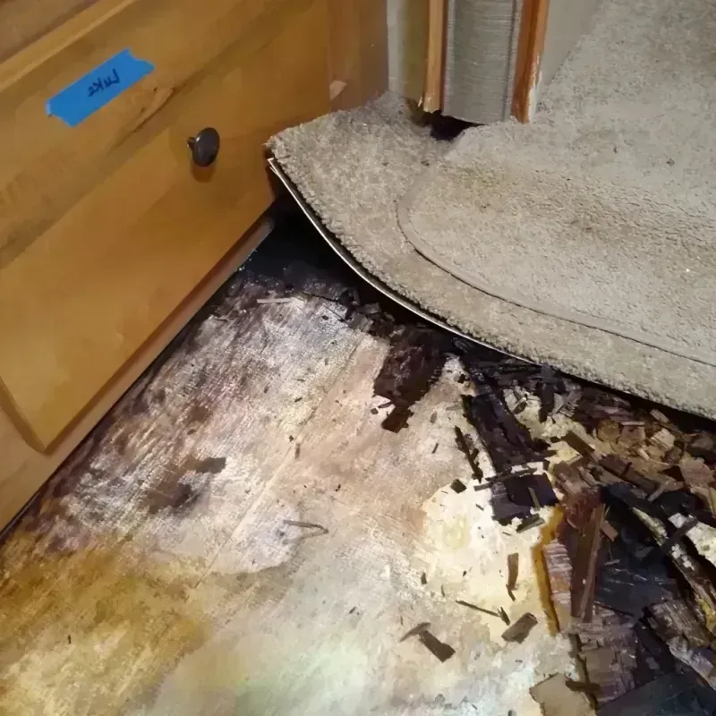 Wood Floor Water Damage in Pine, AZ